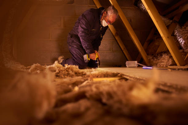 Best Local Insulation Services  in Lampasas, TX